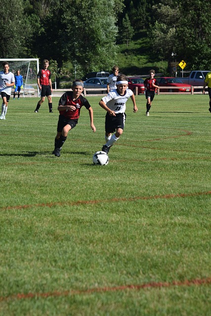 的稳定控制 的稳定控制