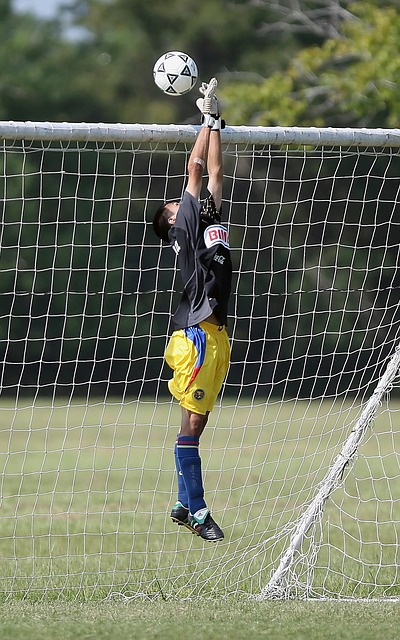 赢得了四强 赢得了四强