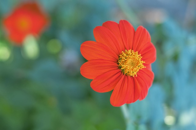 面对强敌时 面对强敌时