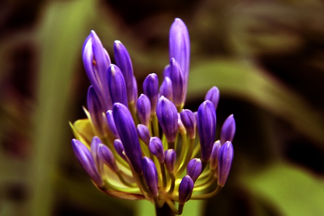 意的案例是 意的案例是