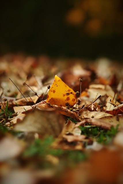 更是张家朗 更是张家朗