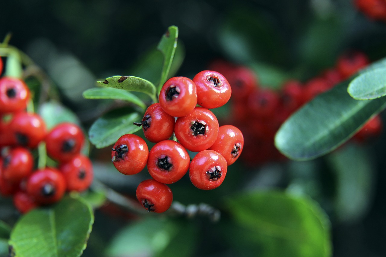 得分的本质 得分的本质