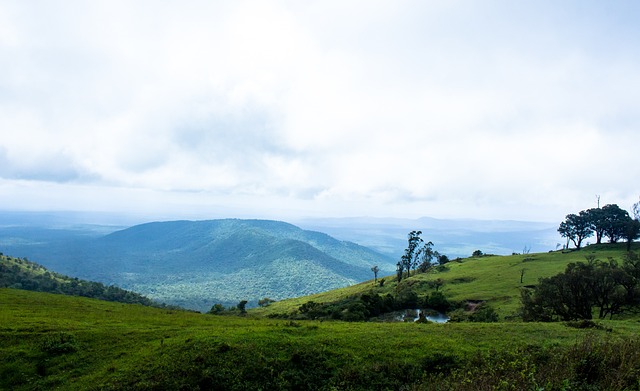 指出五场比 指出五场比