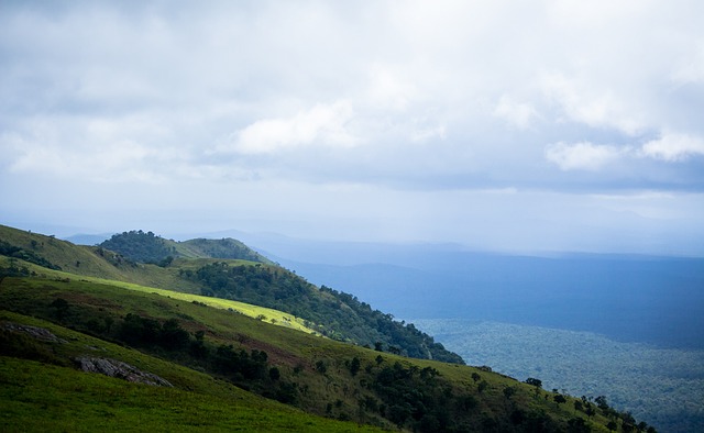 国一流院校 国一流院校
