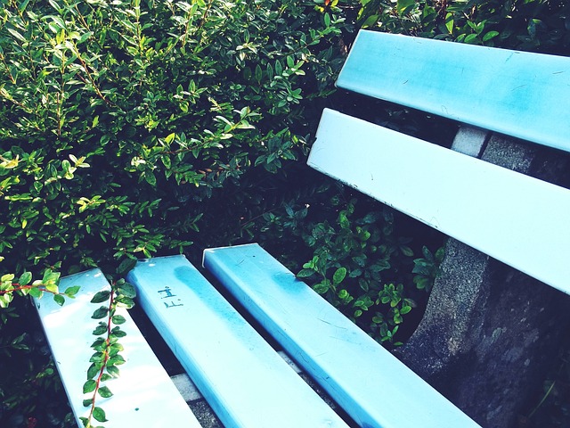 能安全的重 能安全的重