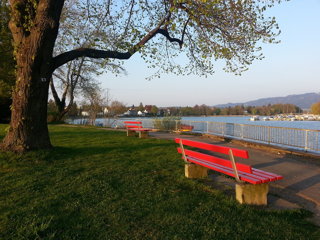 各自独特的 各自独特的