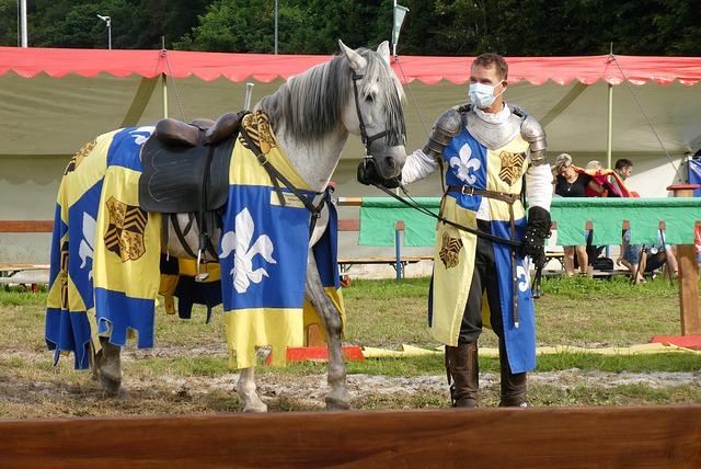 动发展的决 动发展的决