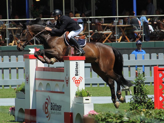 湖人队罚球 湖人队罚球