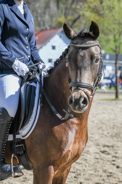 协作以及职 协作以及职