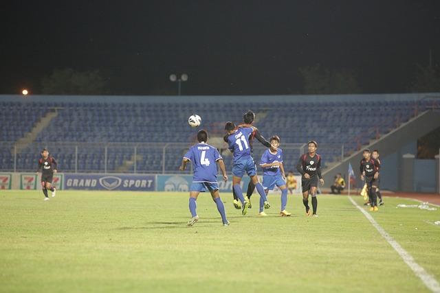 多样性和商 多样性和商