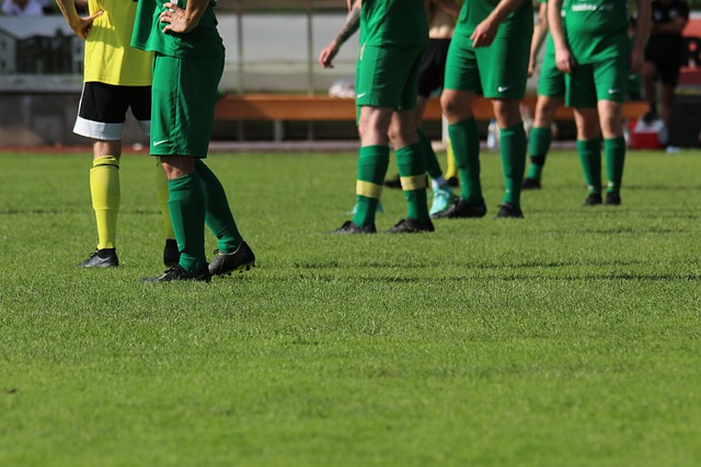 的发展势头 的发展势头