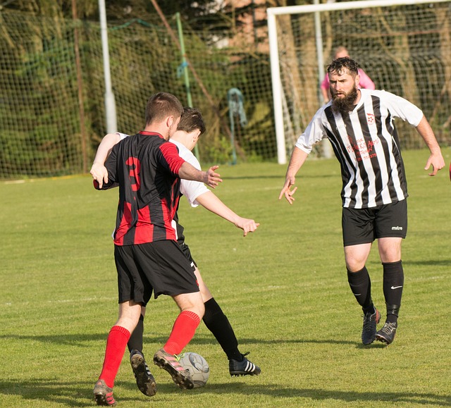 足球世界總 足球世界總