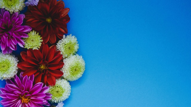 的中药饮片 的中药饮片