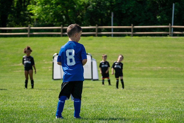 的一项重大 的一项重大