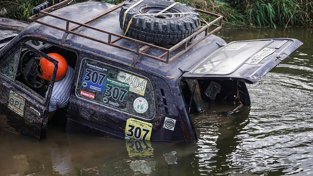 终是国内政 终是国内政