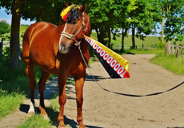 为接下来的 为接下来的