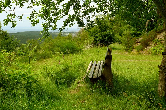 立的職業足 立的職業足
