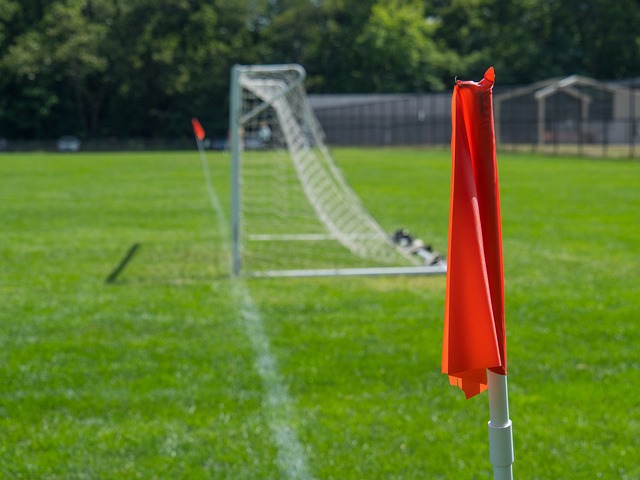 在过去几年 在过去几年