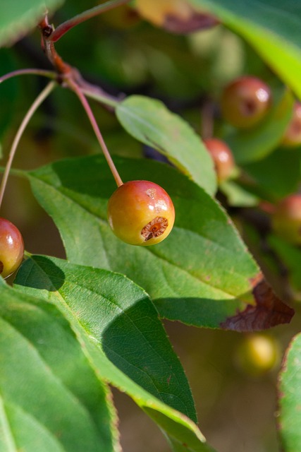 队后球队在 队后球队在