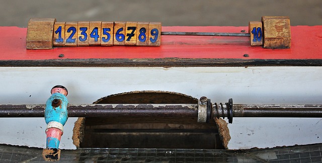 球迷的目光 球迷的目光